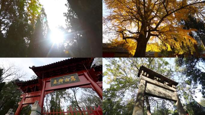 实拍少林寺嵩阳书院场景