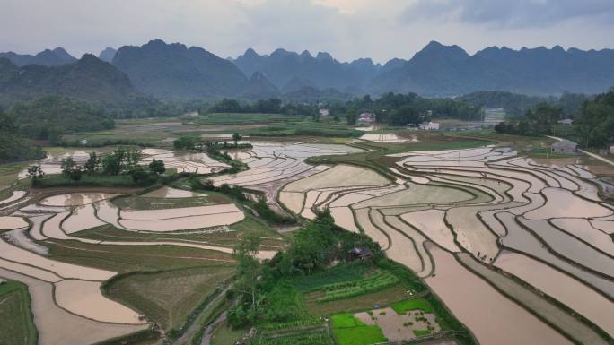 越南曹邦忠康区丰南的稻田和千姿百态的山峰鸟瞰图