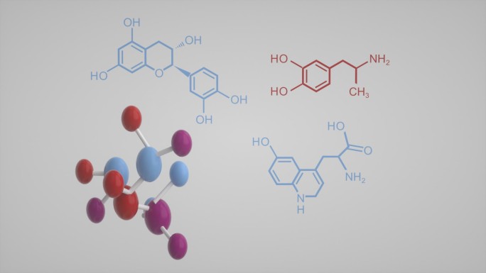 生物分子