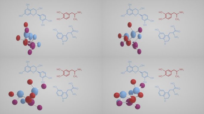 生物分子