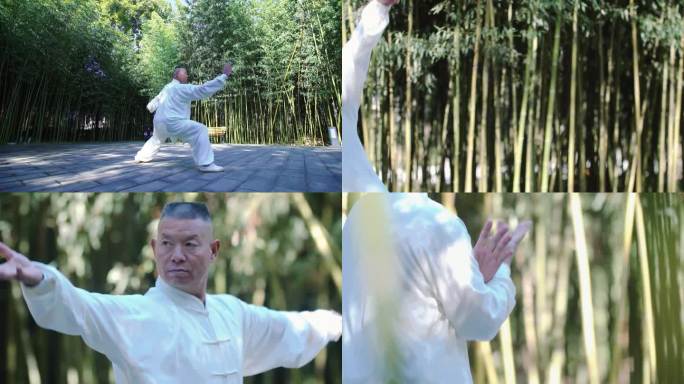 打太极 竹林打太极 太极 晨练