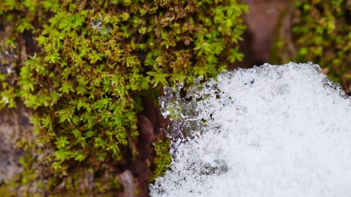 冰雪融化