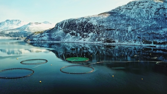 挪威的鲑鱼渔场挪威鲑鱼渔场水产养殖