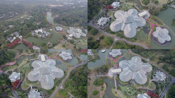 广州天河华南植物园森林航拍