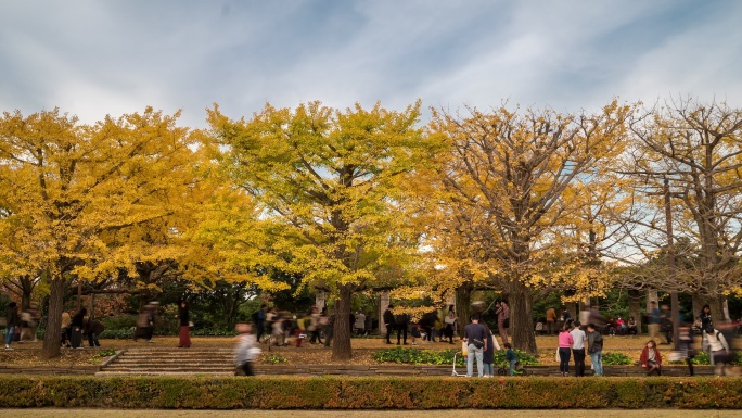 时间流逝：行人在日本东京立川花园拥挤