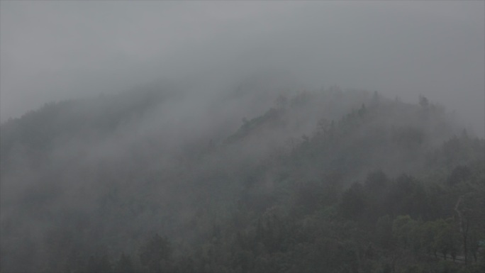 安徽黄山春季雨景 云雾缭绕 烟雨朦胧
