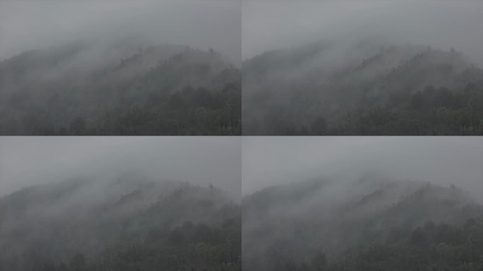 安徽黄山春季雨景 云雾缭绕 烟雨朦胧