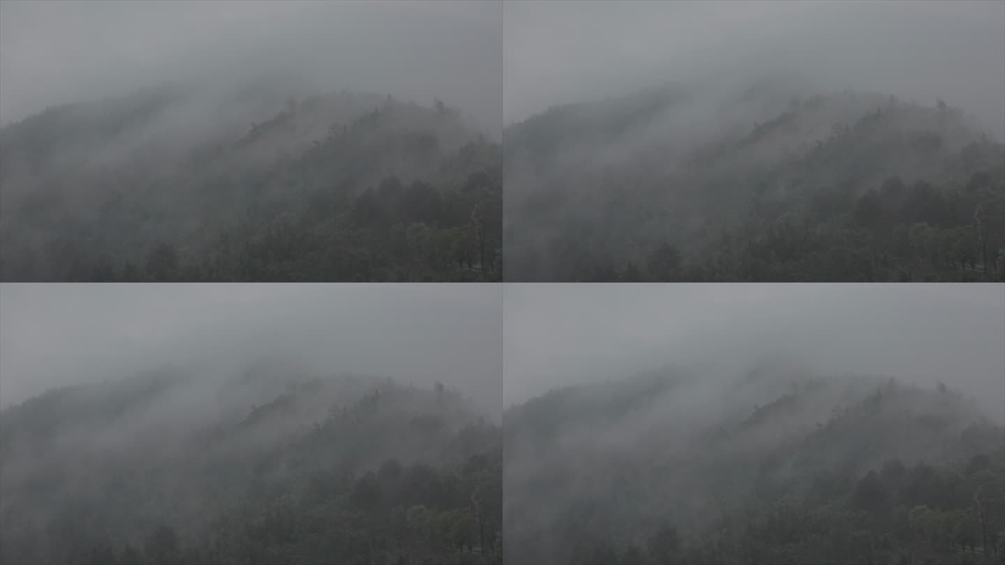 安徽黄山春季雨景 云雾缭绕 烟雨朦胧
