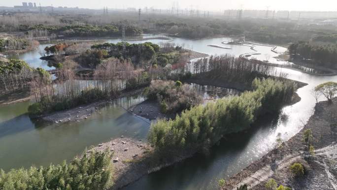 4K原素材-上海湿地风貌区，金海湿地公园