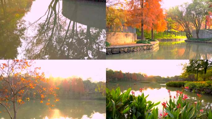 杭州城西休闲公园秋天风景4K视频合集