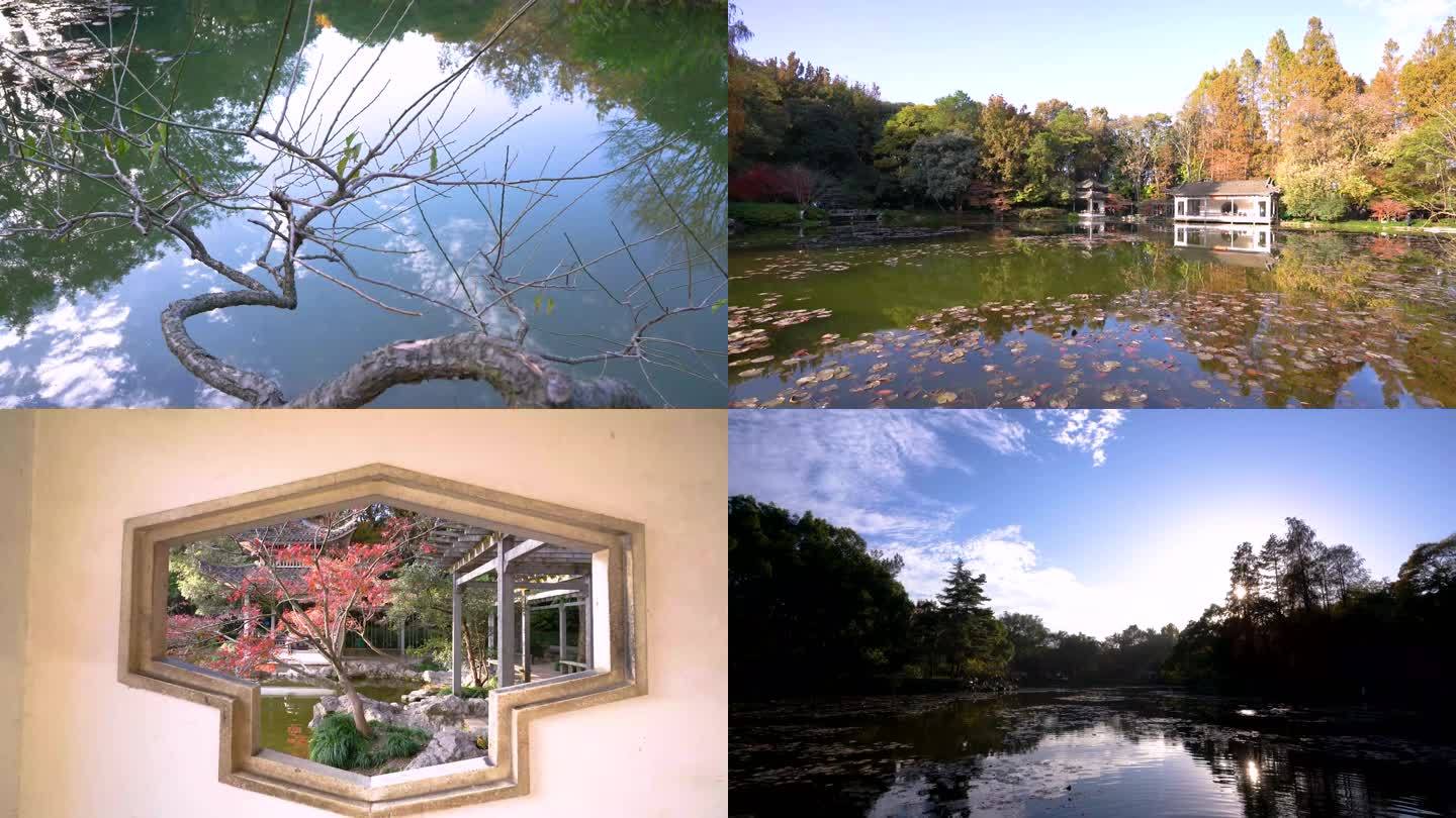 浙江杭州植物园自然风光4K视频合集