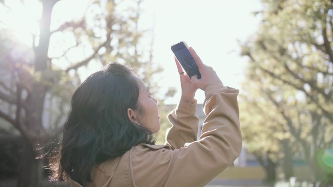 一名亚洲女子在东京为银杏树拍照。日本