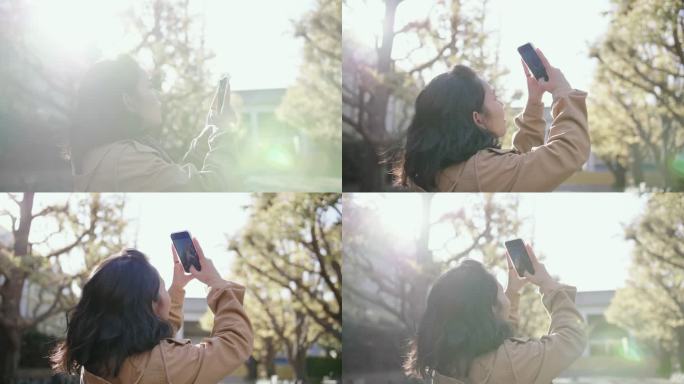 一名亚洲女子在东京为银杏树拍照。日本