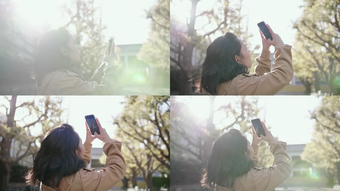 一名亚洲女子在东京为银杏树拍照。日本