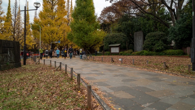 时间流逝：行人拥挤时间流逝：日本东京青山明治金谷花园，苹果ProRes 422（总部）3840x21