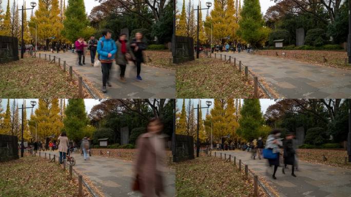 时间流逝：行人拥挤时间流逝：日本东京青山明治金谷花园，苹果ProRes 422（总部）3840x21