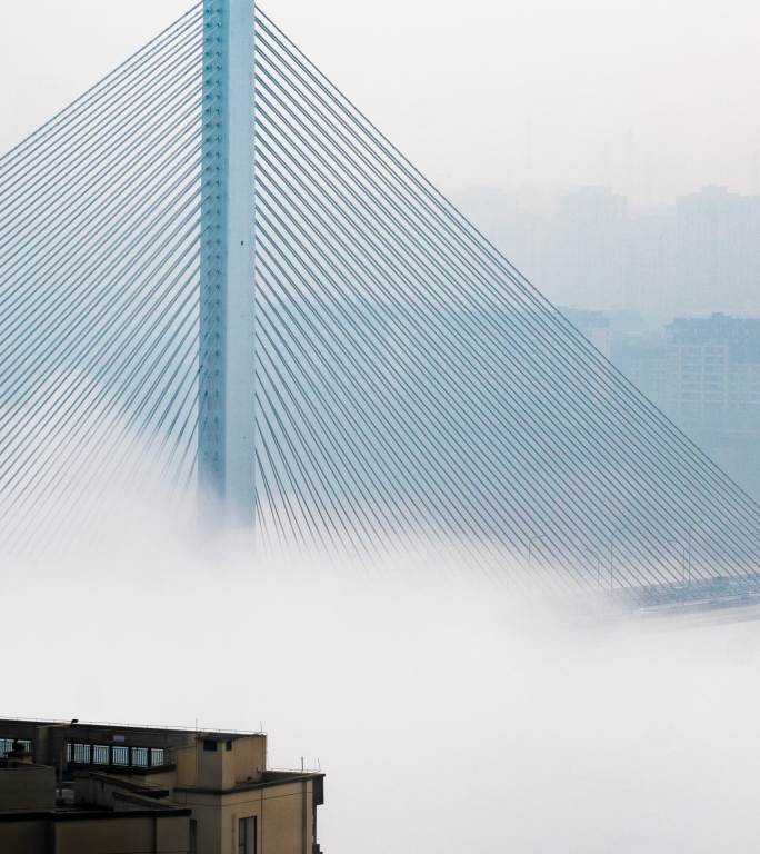 竖屏雾都重庆云海景观双碑大桥云海交通