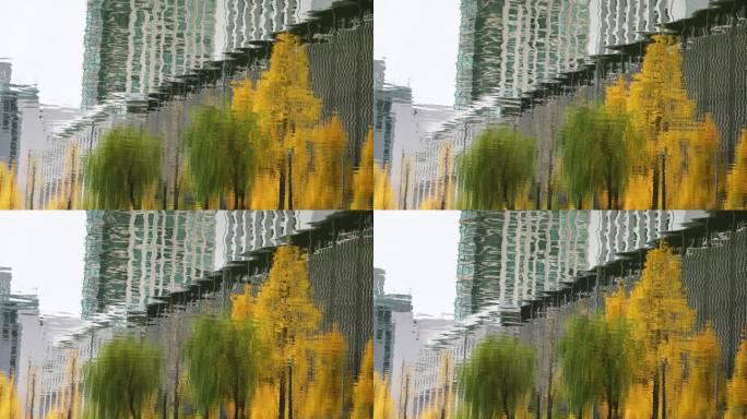东京秋季的建筑表面和银杏树