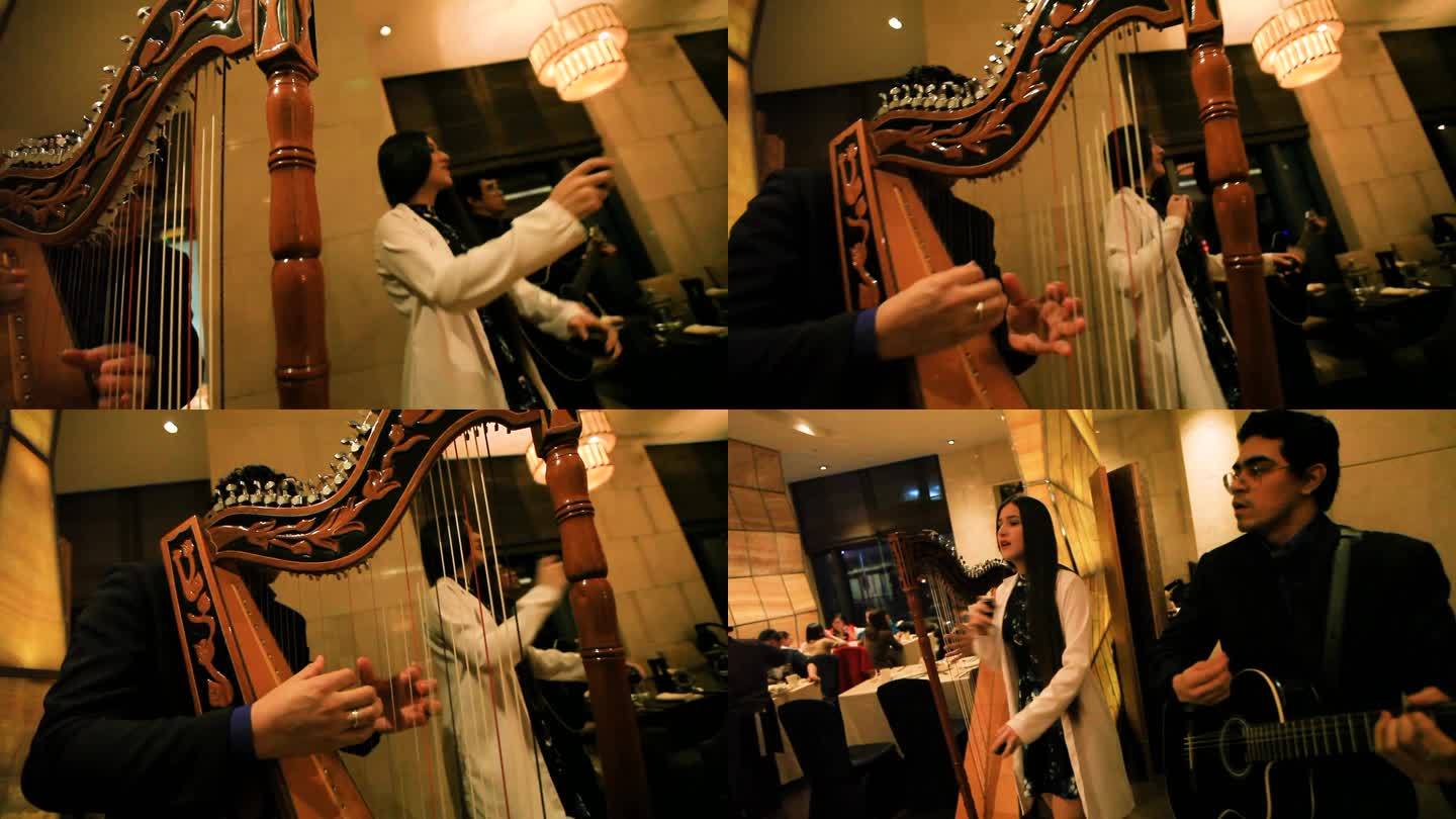 餐厅 伴奏 音乐 演奏 大提琴 扬琴
