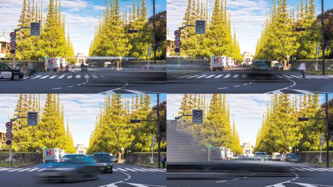 4K延时：放大日本东京青山明治金谷花园黄银杏的汽车和行人