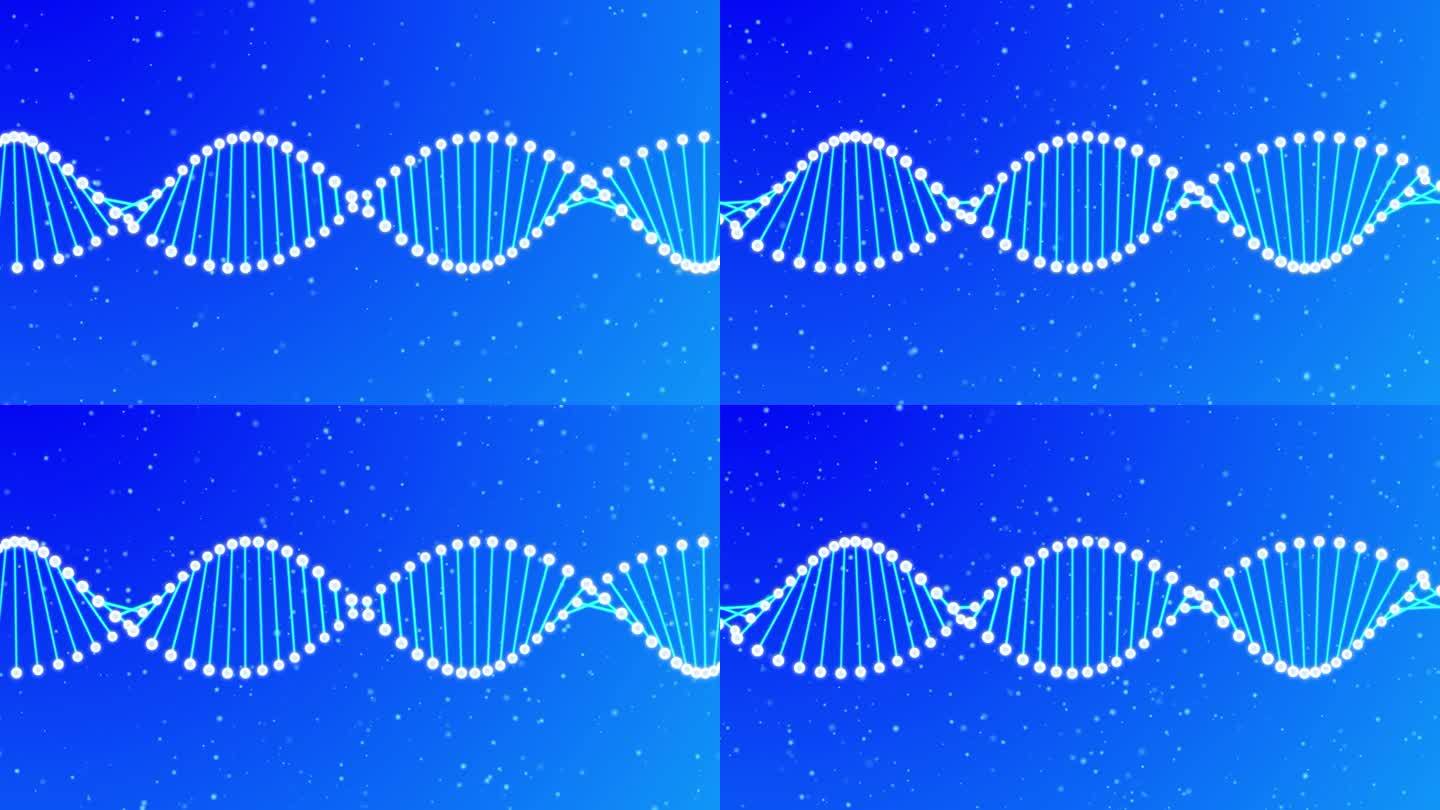 form粒子DNA