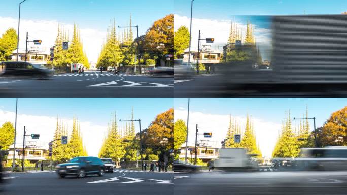 4K延时：放大日本东京青山明治金谷花园黄银杏的汽车和行人