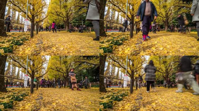 时间流逝：行人拥挤在日本东京青山明治金谷花园