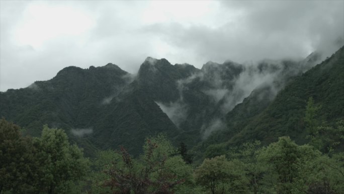 黄山春季 云雾环绕 流动的云雾