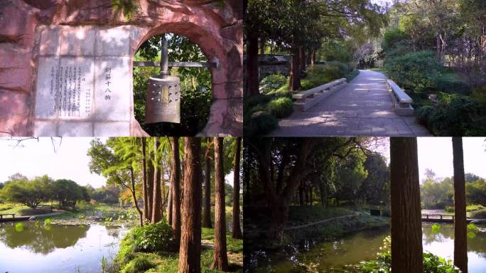 杭州西子湖畔杭州花圃园林景观4K视频合集