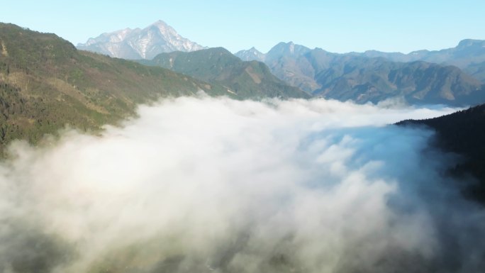 唯美震撼自然生态大山峡谷云海云雾涌动