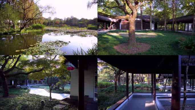 杭州西子湖畔杭州花圃园林景观4K视频合集
