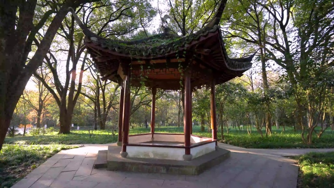 浙江杭州植物园自然风光4K视频合集