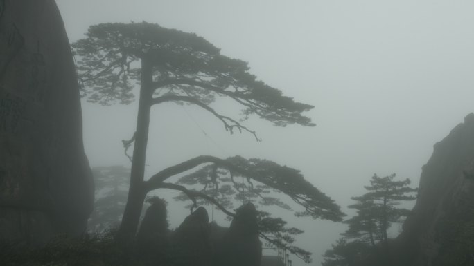 黄山雨景 雨中迎客松 远景