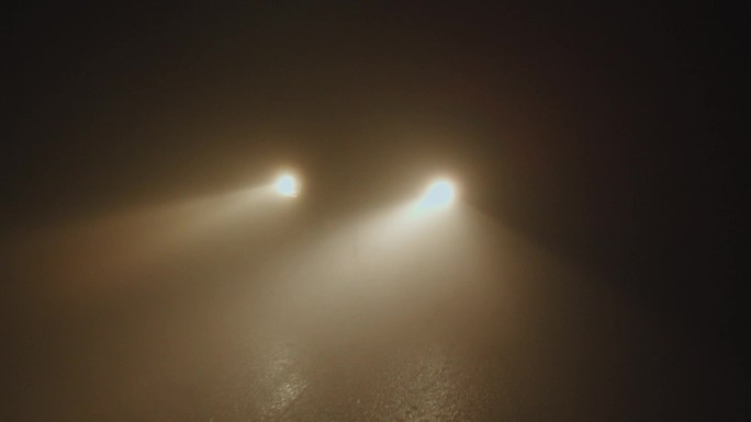 夜间大雾天气在乡镇道路开车-下车指挥司机