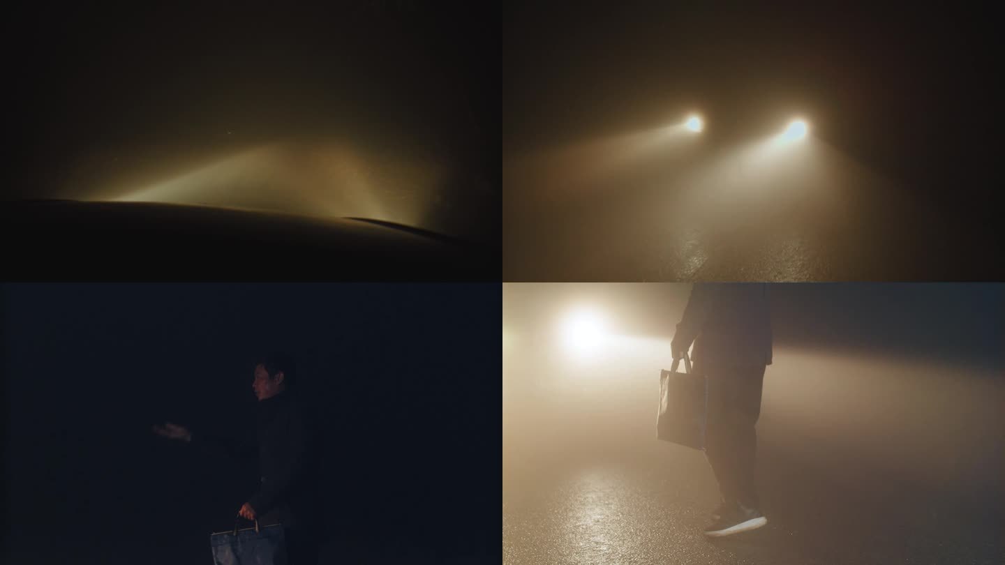 夜间大雾天气在乡镇道路开车-下车指挥司机