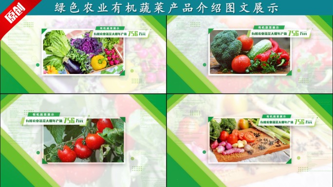 绿色农业有机蔬菜产品介绍图文展示