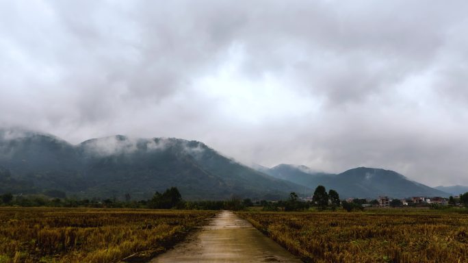 乡村雨季田野山雾缭绕