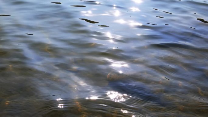 水动态水流水面