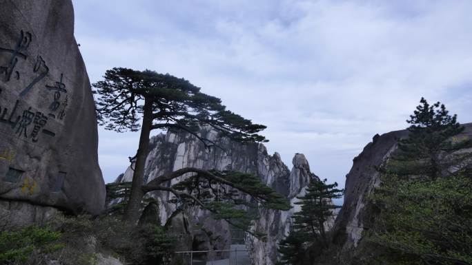 黄山山顶景色 山峰 迎客松 走云