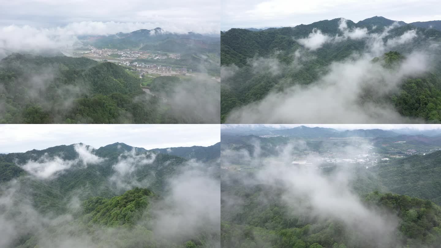 航拍森林平流雾多景别多片段