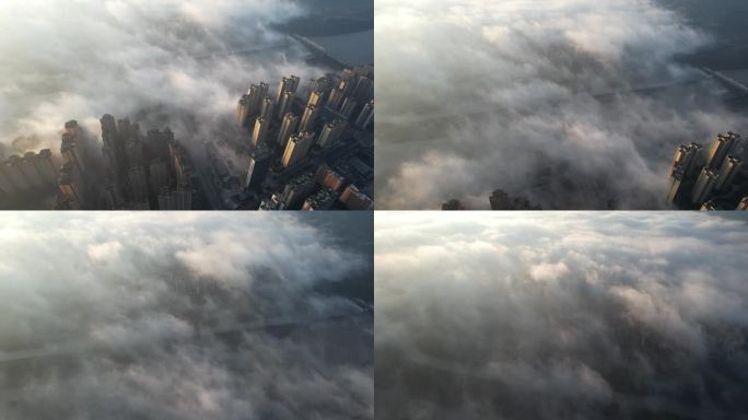 被雾气笼罩的城市