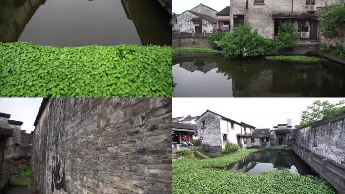 浙江绍兴书圣故里墨池风景4K视频合集