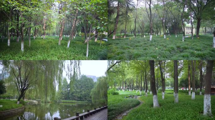 杭州上城区世纪花园4K视频合集