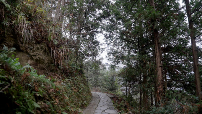 山间小路