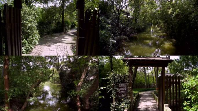 杭州国家西溪湿地公园照谏桥4K视频合集