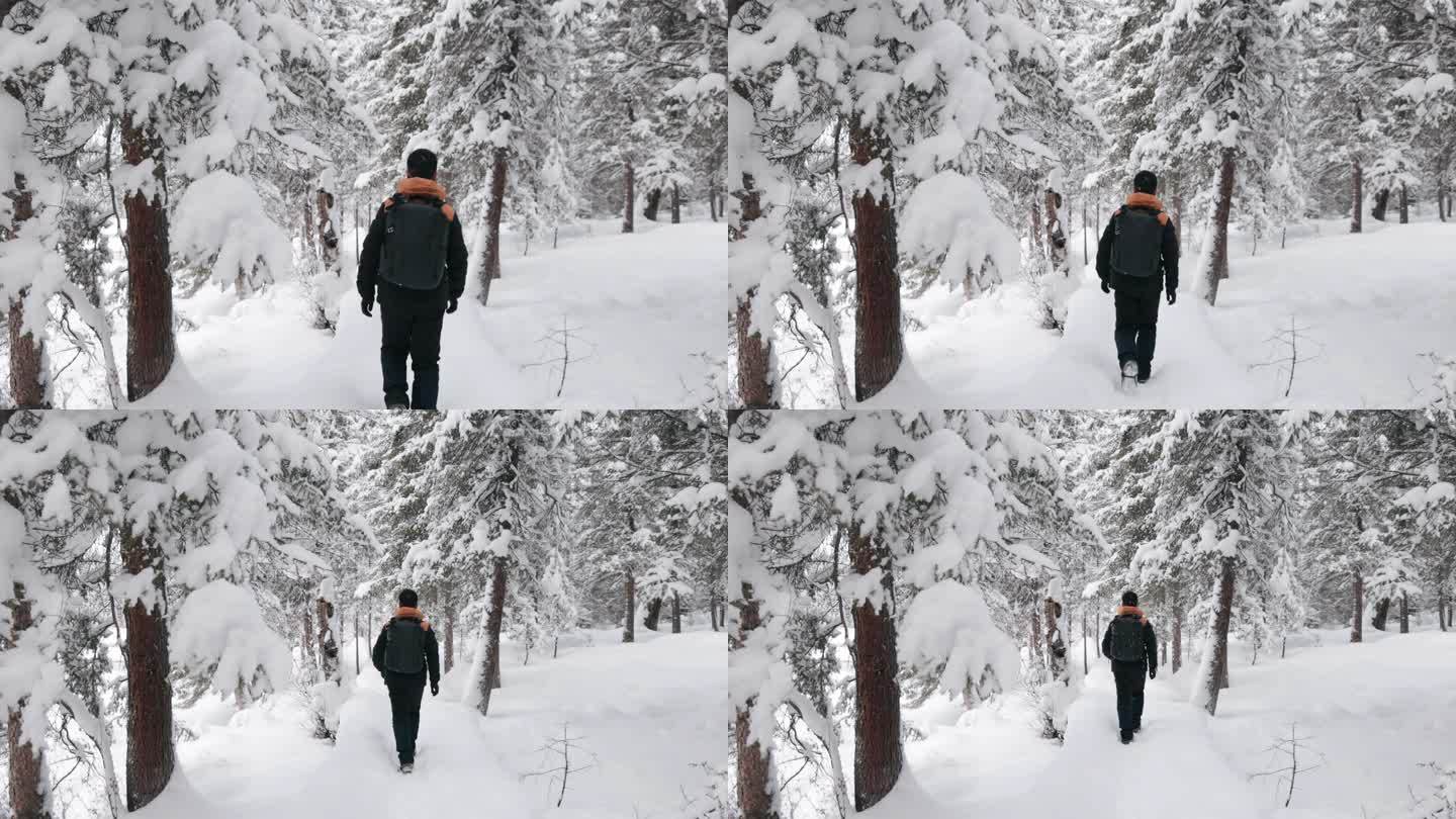 4K大雪森林中背包行走的人背影