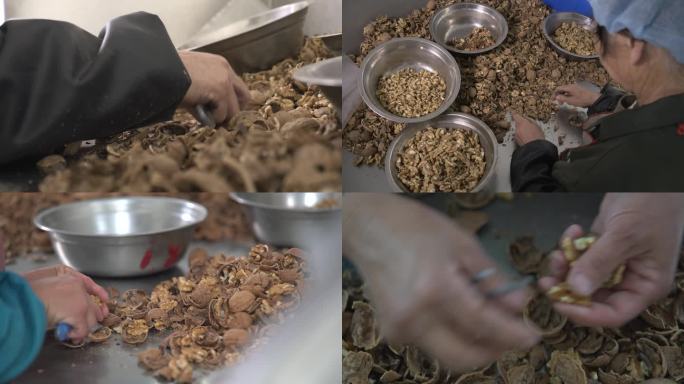 手工挑选核桃仁