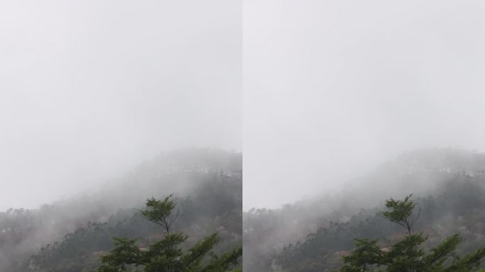 竖屏蒙蒙细雨云雾缭绕山林