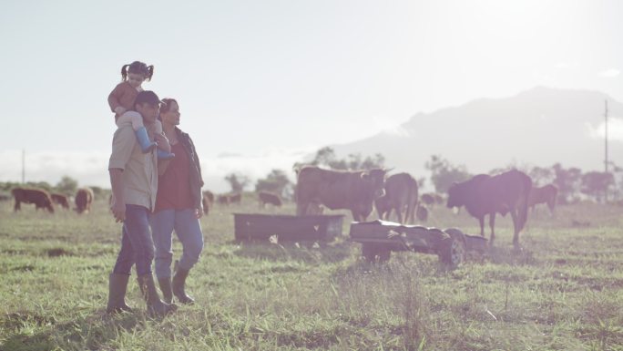 一个孩子在奶牛场上散步的快乐家庭。奶牛场的母亲、父亲和女儿。农民父母教孩子动物、牛、牲畜、自然和可持