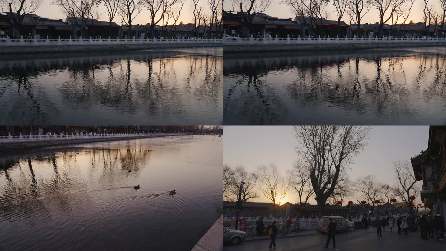 夕阳下水中野鸭子